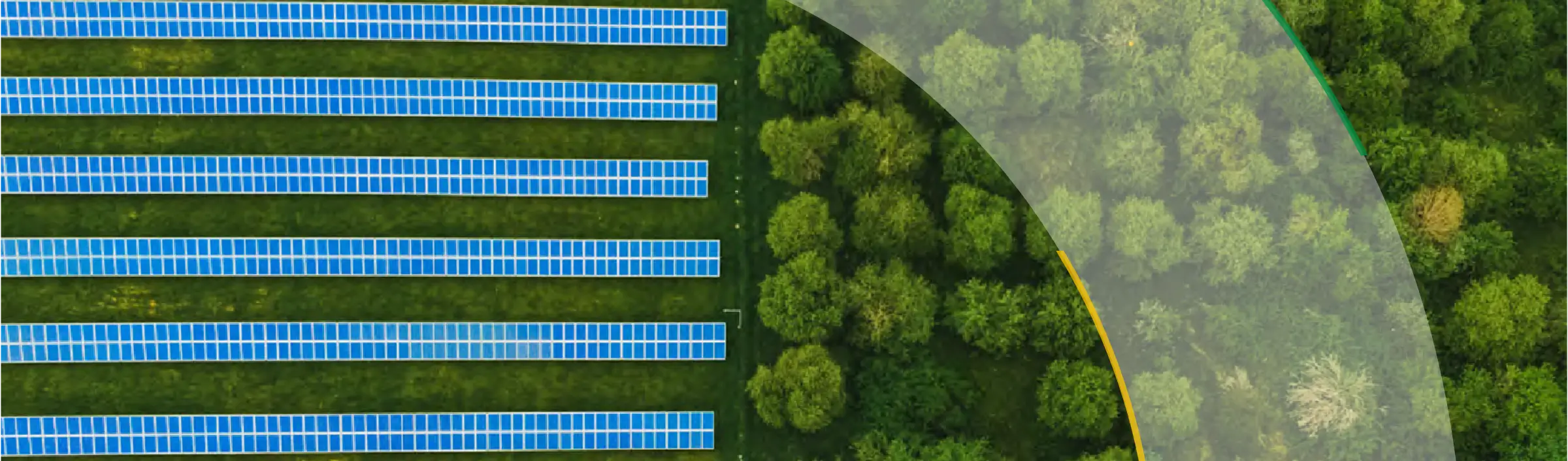 green trees next to a field full of solar panels viewed from above