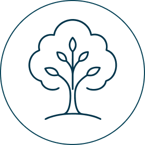 Mission icon