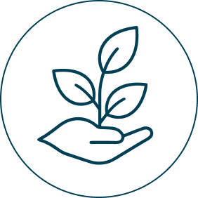Vision icon